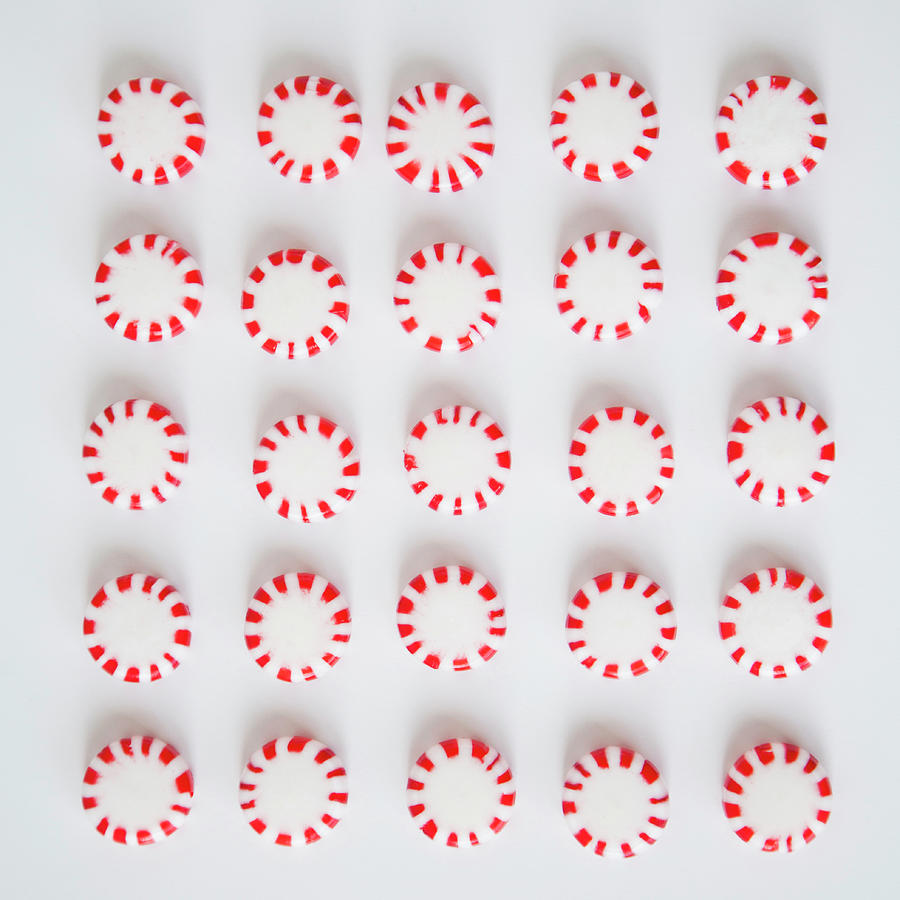 Studio Shot Of Rows Of Peppermint Photograph by Jessica Peterson