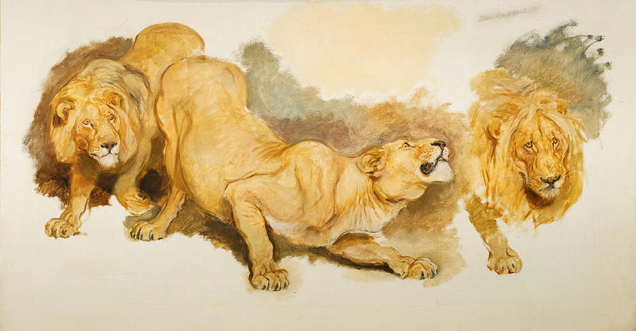 Study for Daniel in the Lions Den Painting by Briton Riviere