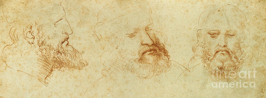 Study of a male head Drawing by Leonardo Da Vinci