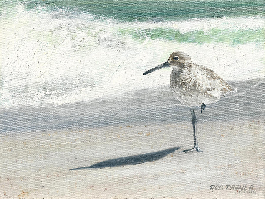 Sandpiper Painting - Study of a Sandpiper by Dreyer Wildlife Print Collections 