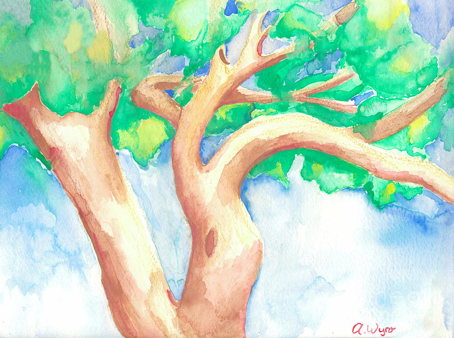 Tree Painting - Study of a Tree by Angela Maria Bingham