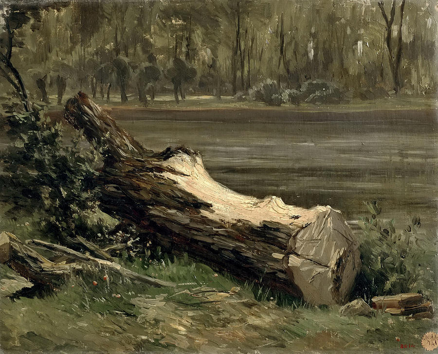 Study of a tree trunk Painting by Carlos de Haes