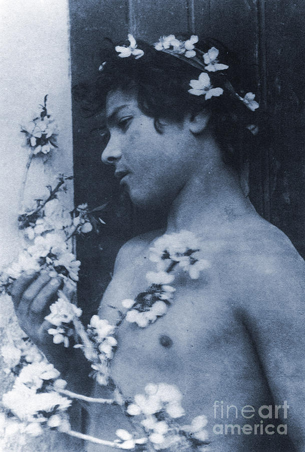 Wilhelm Von Gloeden Photograph - Study of a Young Boy with Flowers in his Hair by Wilhelm von Gloeden