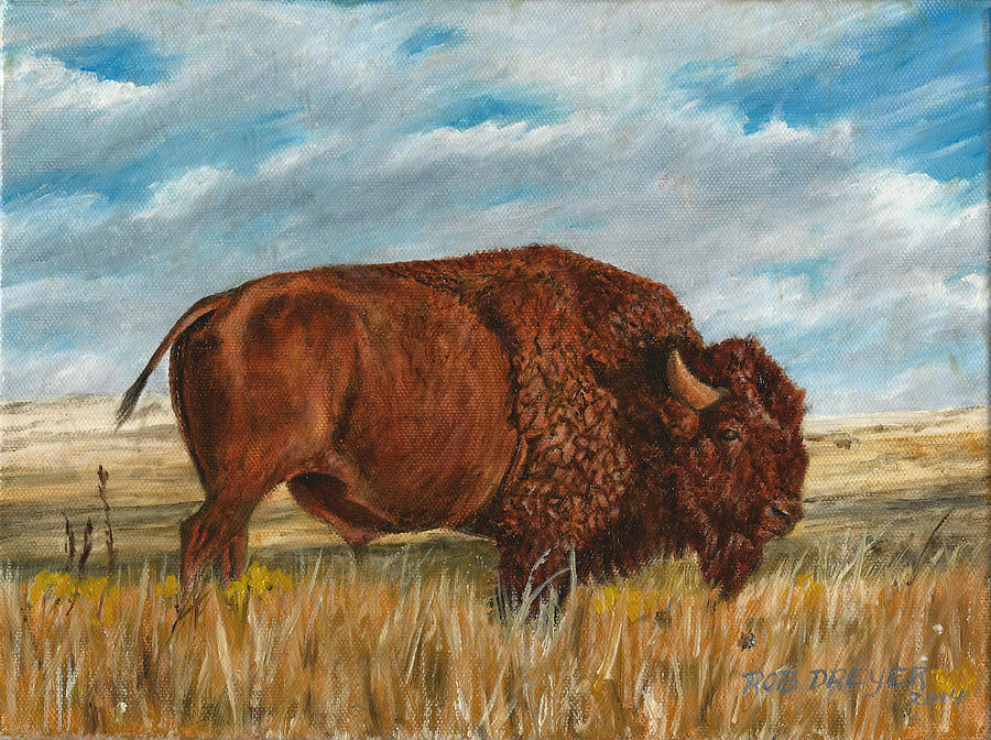 Bison Painting - Study of an American Bison by Dreyer Wildlife Print Collections 