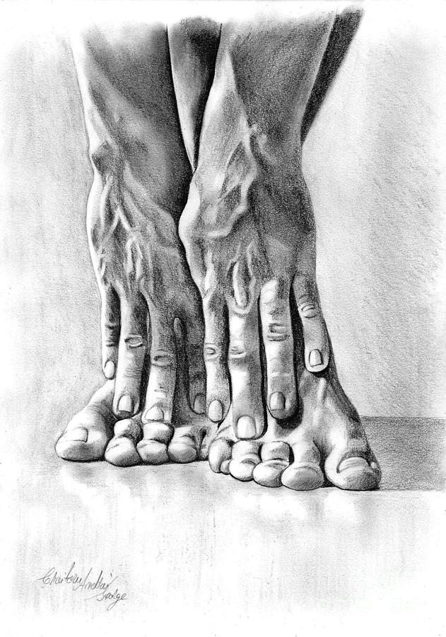 Study of Hands and Feet Drawing by Andrei Croitoru Fine Art