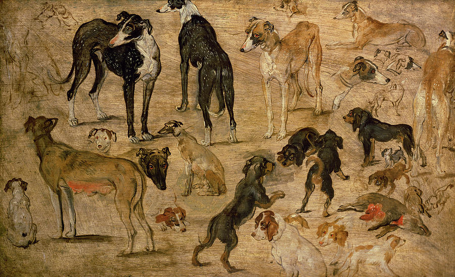 Dog Painting - Study Of Hounds, 1616 by Jan the Elder Brueghel