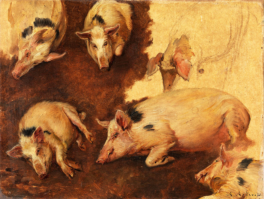 Study of six Pigs Painting by Anders Askevold