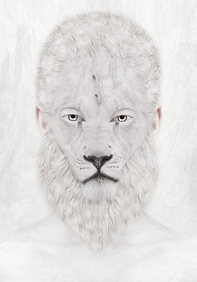 White Lion Photograph - Stuff Me by Yosi Cupano