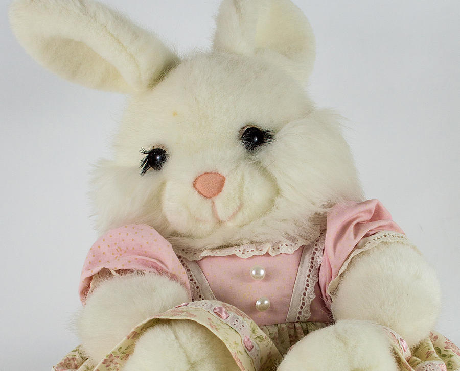 Stuffed Bunny Photograph by Diane Bell