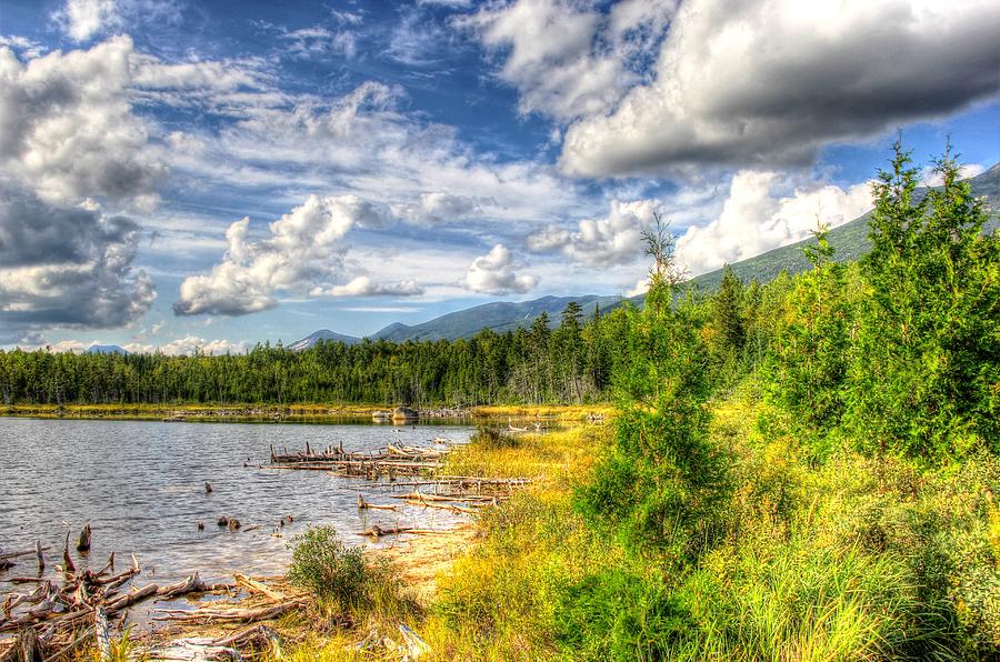 Stump Pond Photograph - Stump pond by Peggy Berger Stump Pond Photograph - Stump pond by Peggy Berger