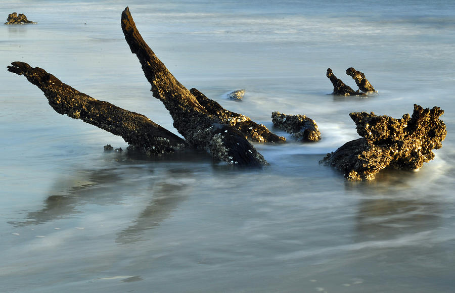 Stumps in the Ocean 1.1 Photograph by Bruce Gourley