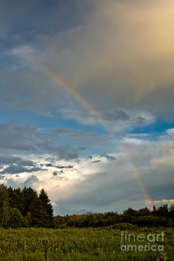 Stunning Rainbow Photograph by Cheryl Baxter