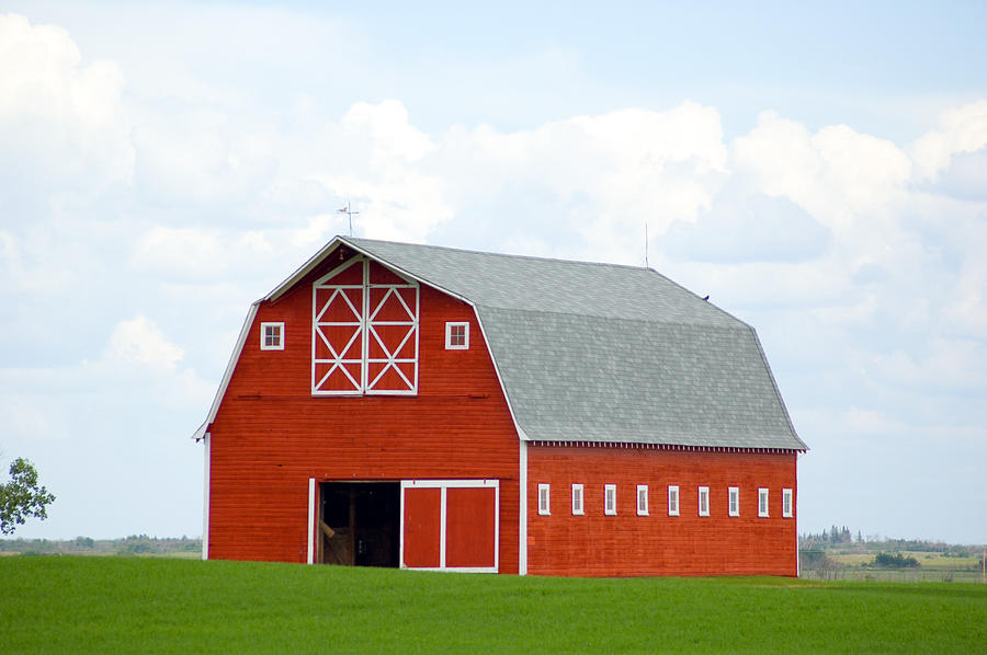 Stunning Red Barn in Green Field - Grain Crop Photograph by Wwing