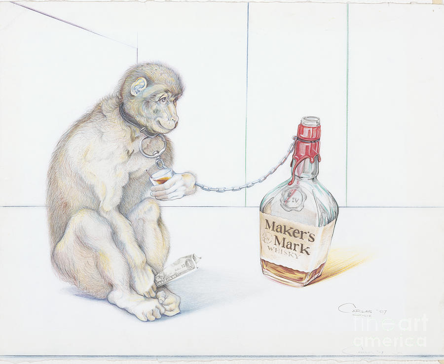 Stupid Monkey Drawing by Carlos Ruiz Fine Art America
