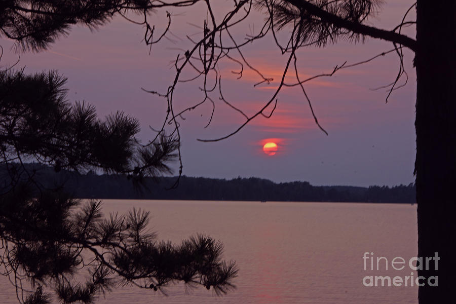 Sturgeon Lake MN Sunset Photograph by Tina Hailey
