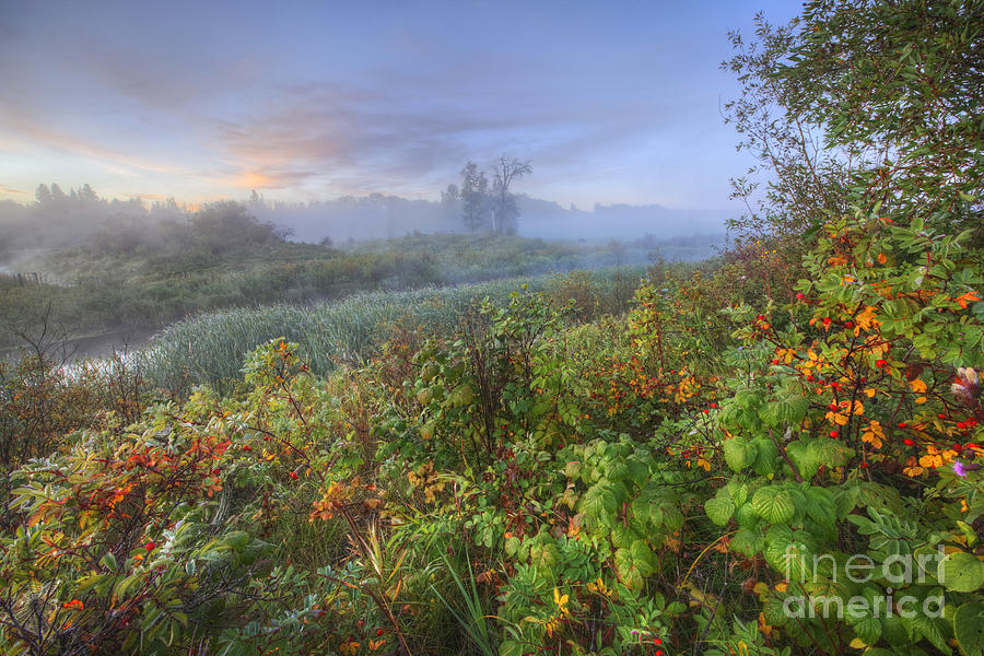 Sturgeon River Valley Autumn Morning Photograph by Dan Jurak