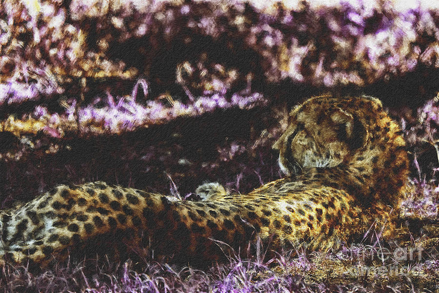 Styled Environment-The Modern Trendy Cheetah V2 Photograph by Douglas Barnard