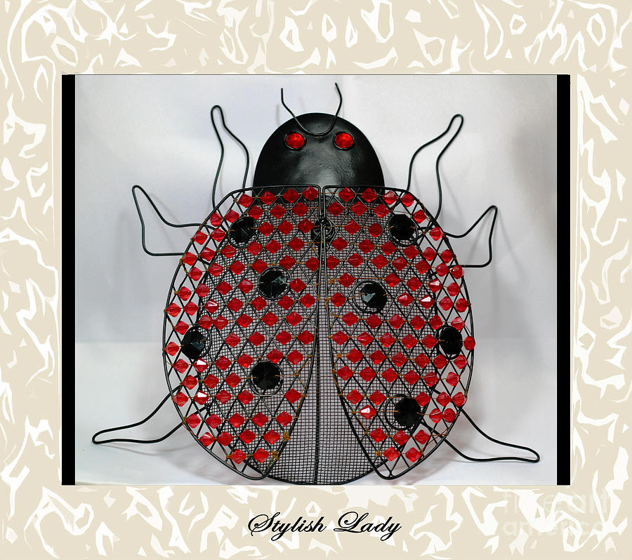 Stylish Lady - Lady Bug Beetle - Decoration Photograph by Barbara A Griffin