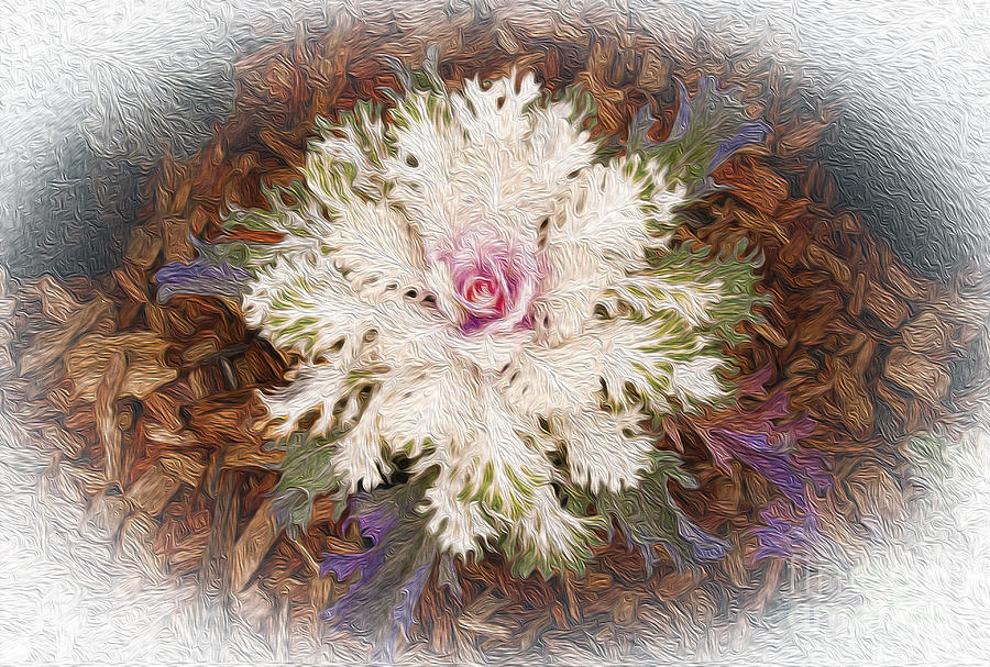 Stylized Cabbage Digital Art by Victoria Harrington
