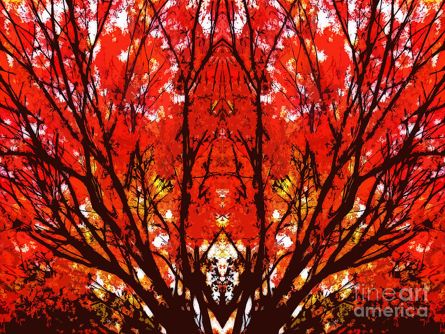 Stylized Maple Tree with Red and Orange Leaves Digital Art by Beverly Claire Kaiya