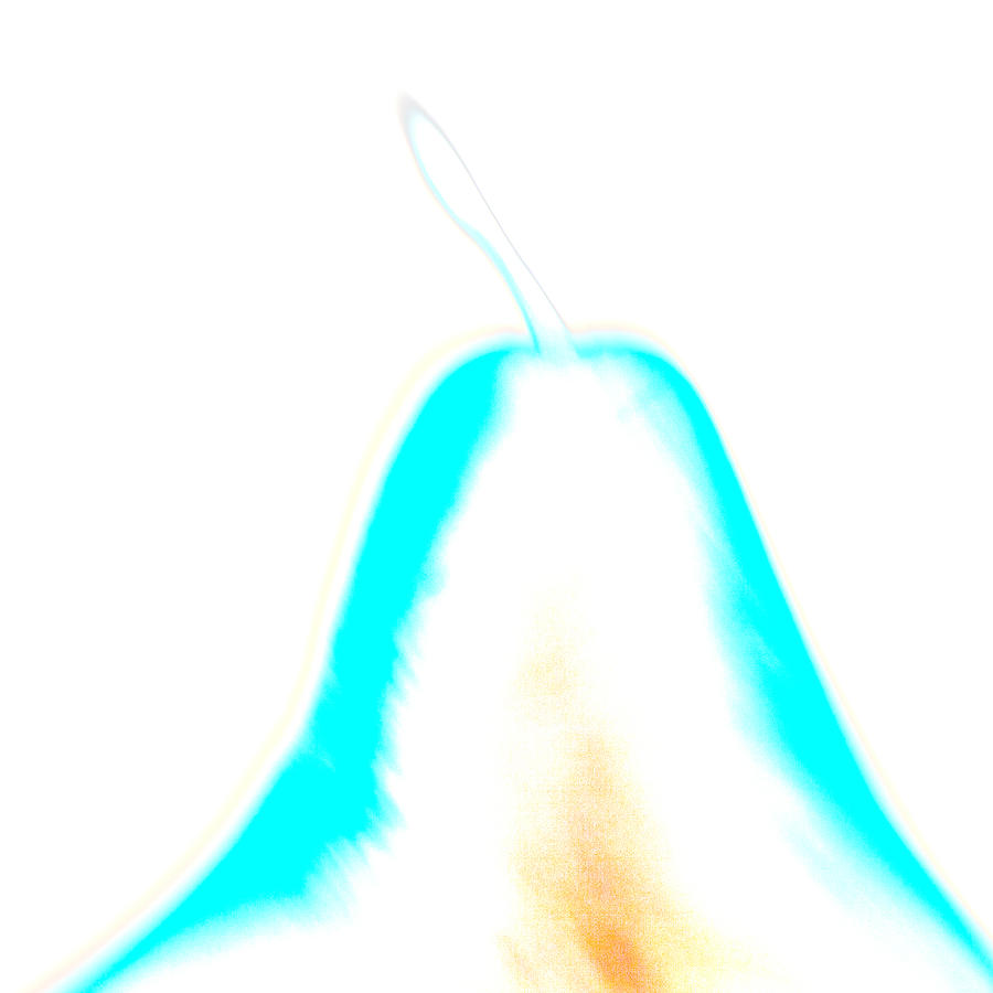Abstract Photograph - Stylized Pear by Carol Leigh