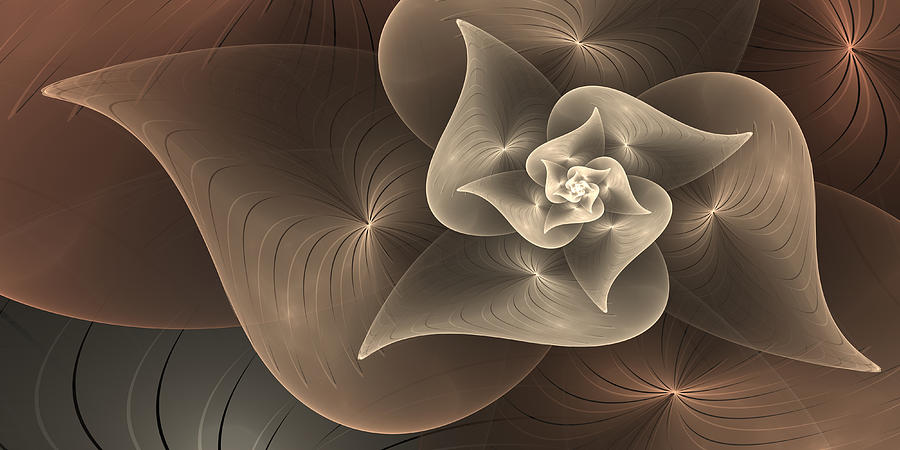 Stylized Philodendron Sepia Digital Art by Gabiw Art