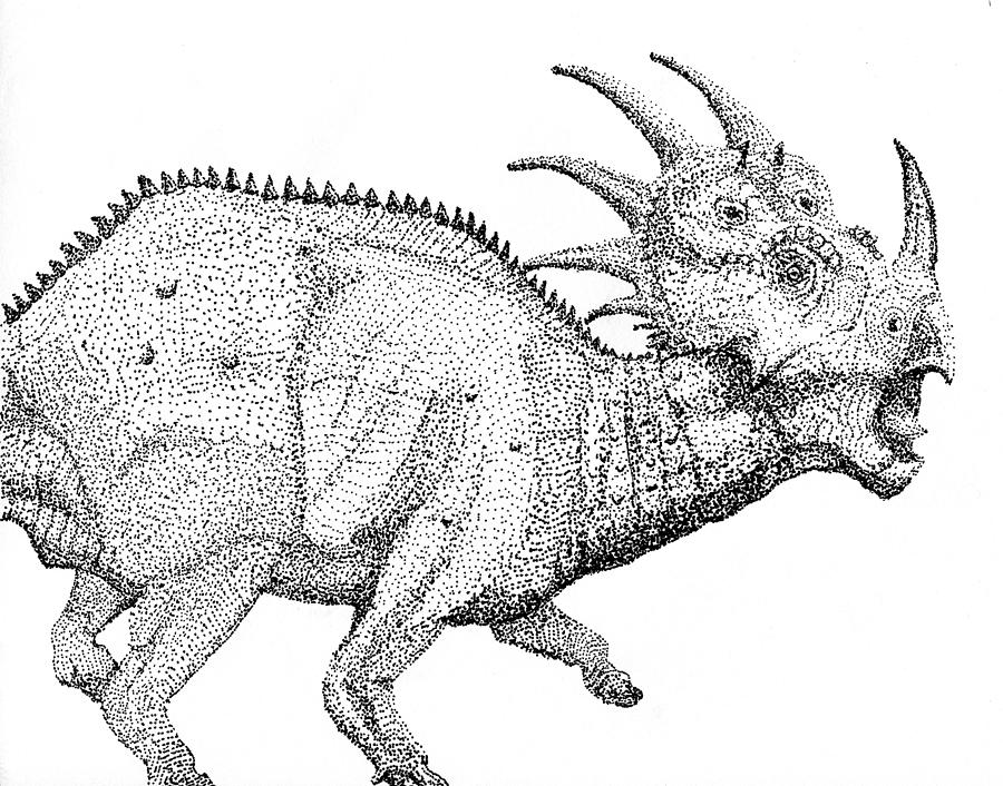 Download Styracosaurus Drawing by Craig Shipman