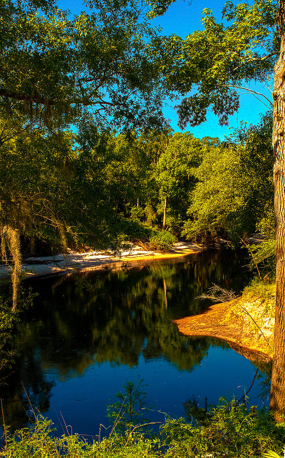 Suwannee River Banks Photograph by Jeff Kurtz