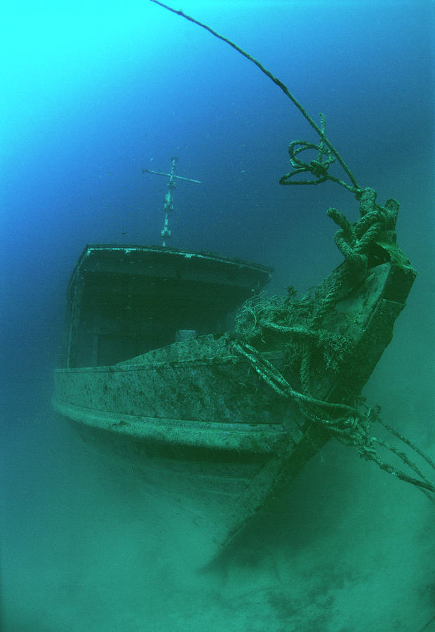 Submerged Shipwreck Photograph by Matthew Oldfield/science Photo Library