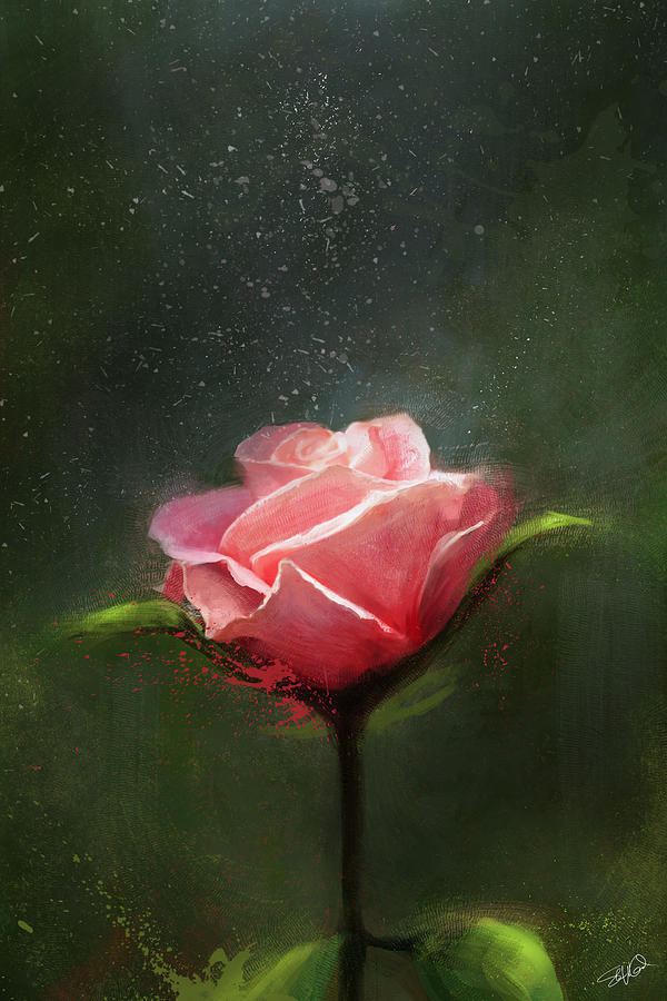 Rose Digital Art - Subtle Beauty by Steve Goad