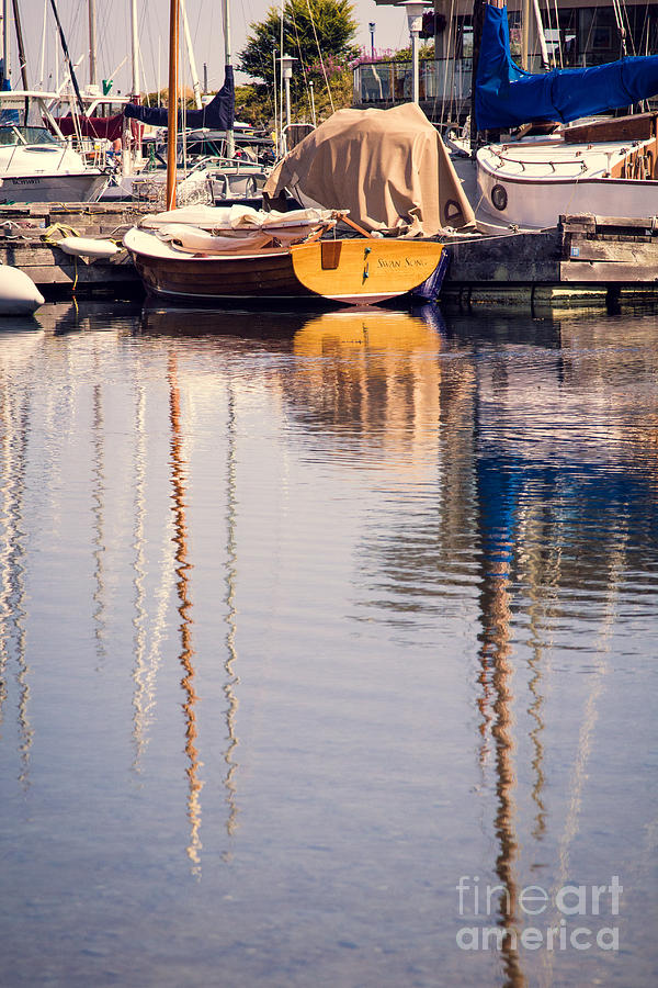 Subtle Colored Marina Reflections Photograph