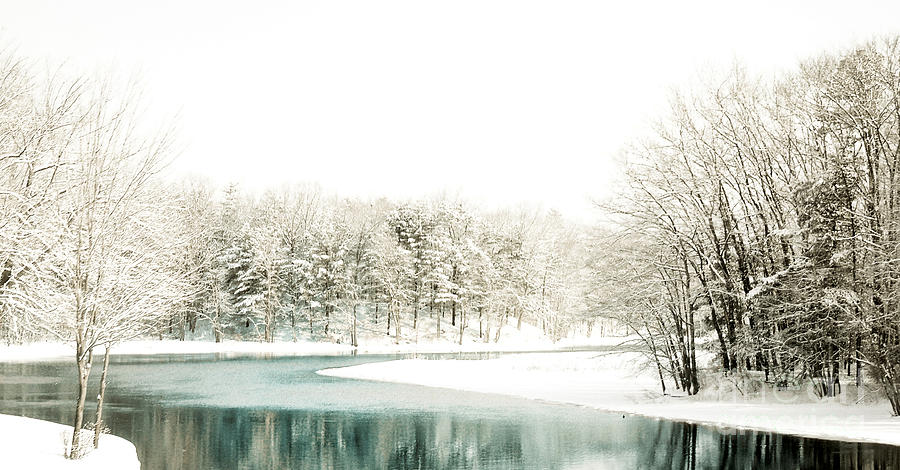 Subtle Winter Scene Photograph by Mim White