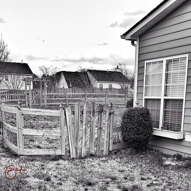 Suburban Fence B&w 💥#rebel_bnw_fence Photograph by Gina ODonoghue