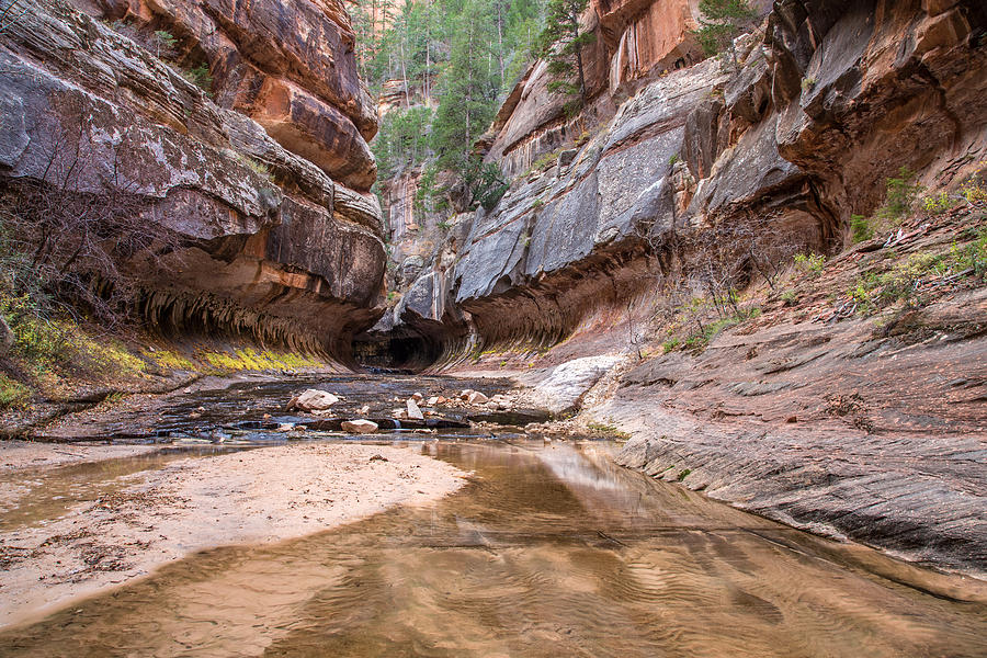 Subway entrance in Zion National Park Backcountry Photograph by Pierre Leclerc Photography