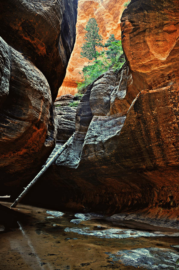 Subway hike Zion UT 40 Photograph by Alfredo Martinez - Fine Art America