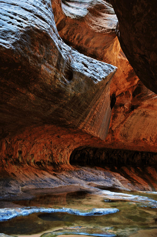 Subway hike Zion UT 72 Photograph by Alfredo Martinez