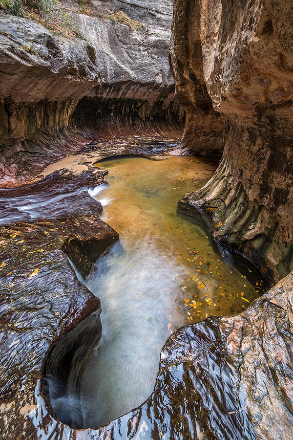 Subway slot canyon in Zion Utah Photograph by Pierre Leclerc Photography
