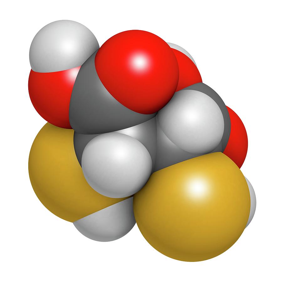Succimer Acid Molecule Photograph by Molekuul