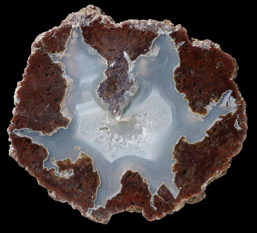 Succor Creek Thunder Egg Agate Photograph by Natural History Museum, London/science Photo Library