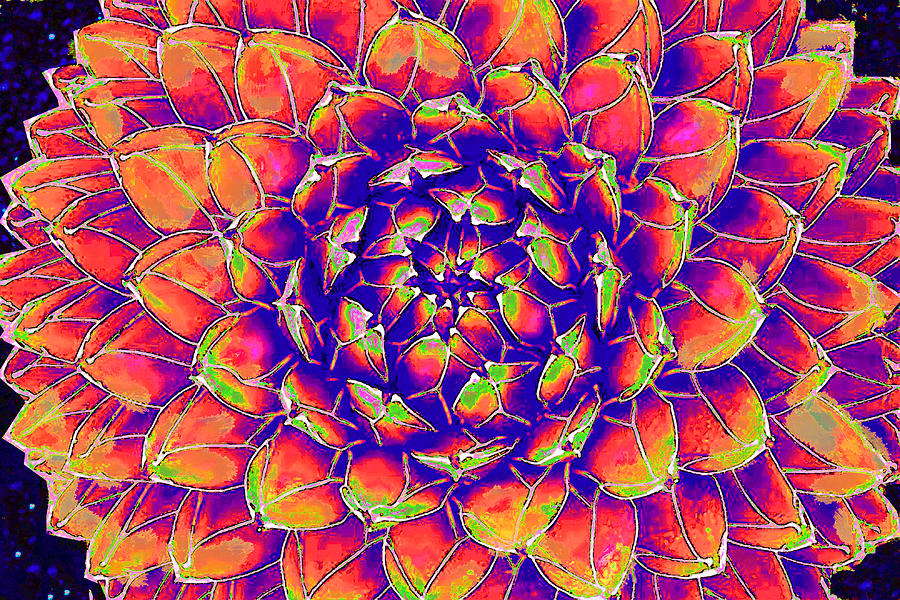 Succulent 7 Digital Art by Jane Schnetlage