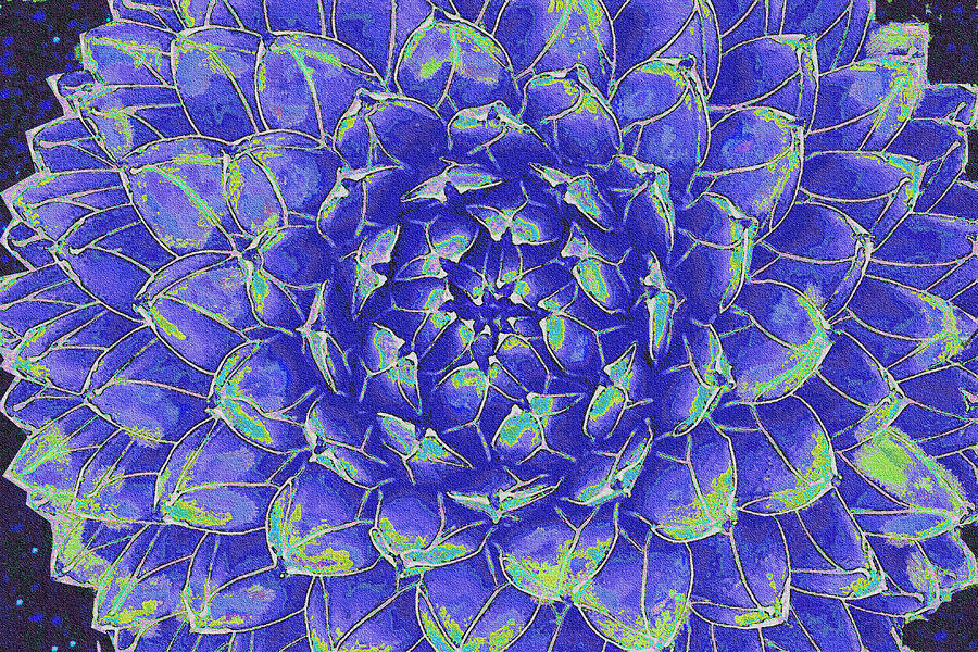 Succulent - Blue Digital Art by Jane Schnetlage