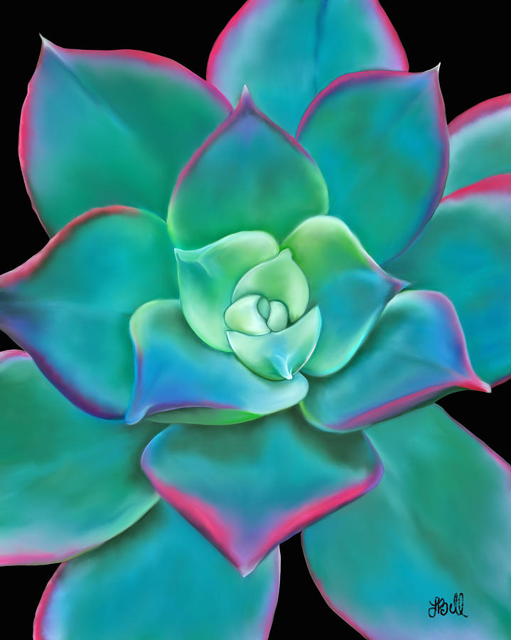 Succulent Aeonium Kiwi Painting by Laura Bell