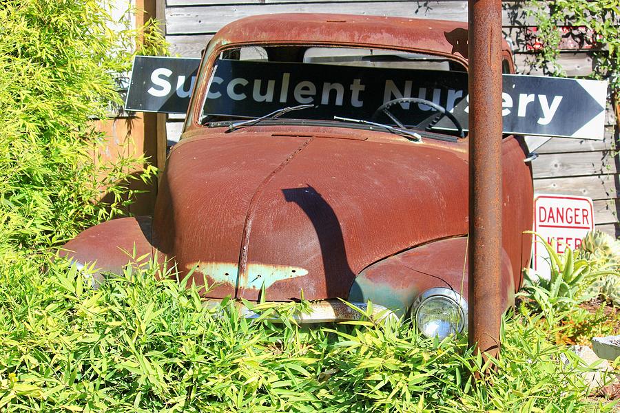 Succulent Chevy Photograph by Douglas Miller