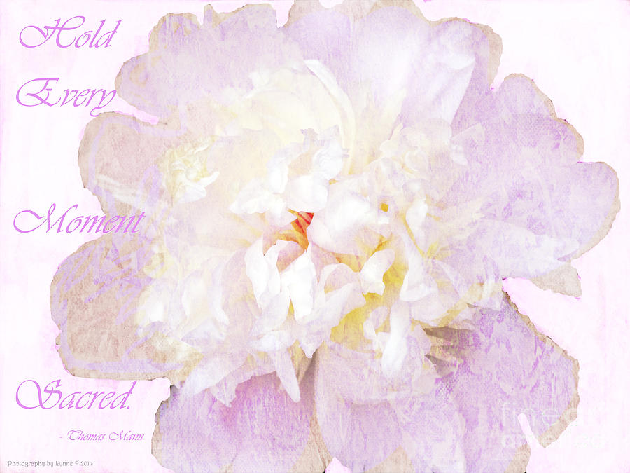 Such A Pretty Peony - Inspirational Quote Photograph