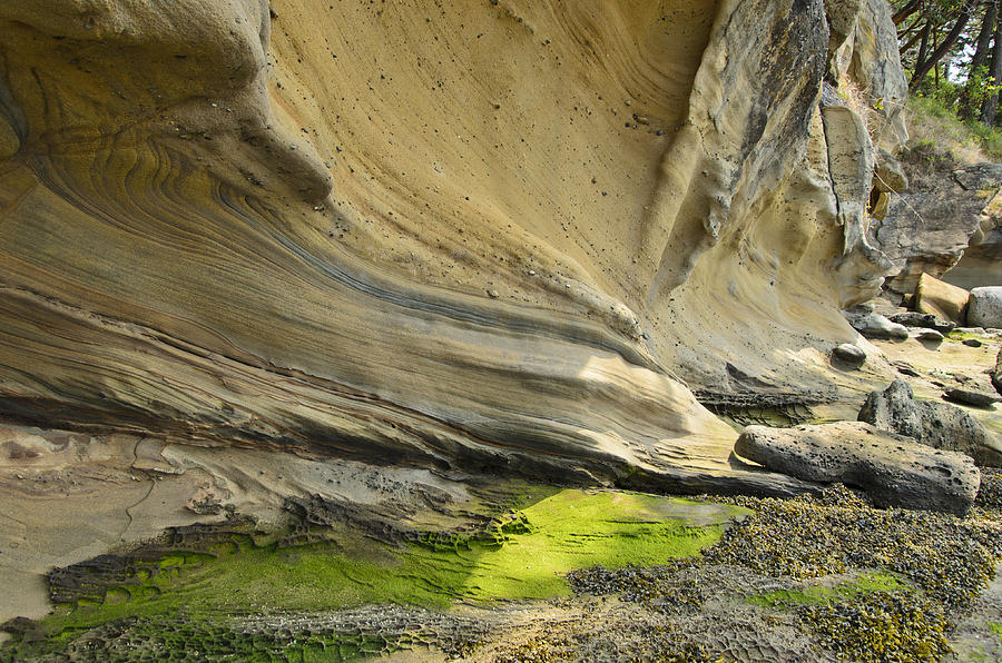 Sandstone Photograph - Sucia Island Sandstone by Bob VonDrachek