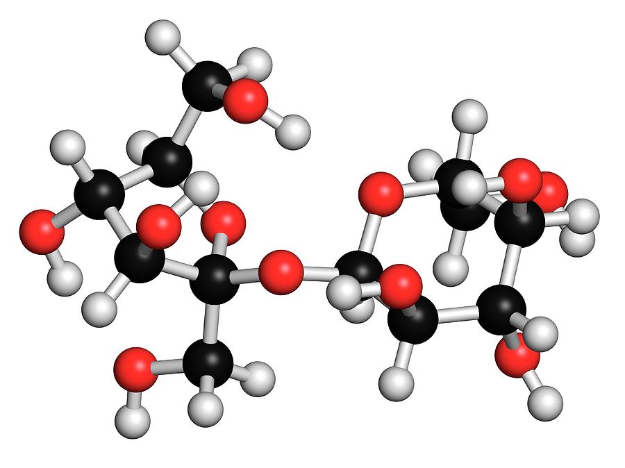 Sucrose Sugar Molecule Photograph by Molekuul
