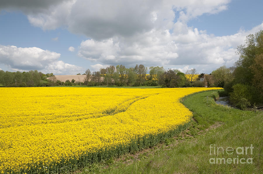 Suffolk Landscape Photograph