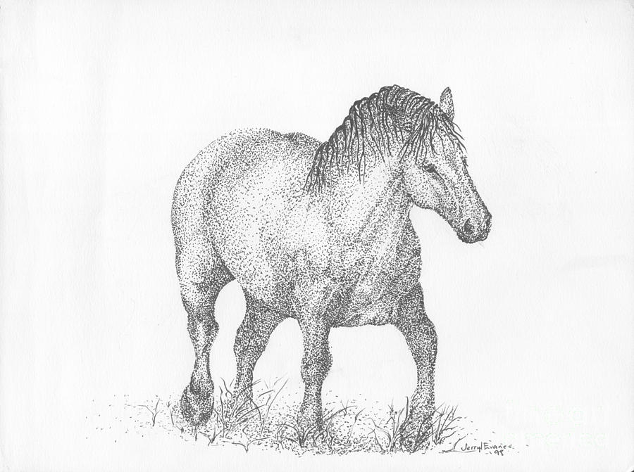 draft horse sketch