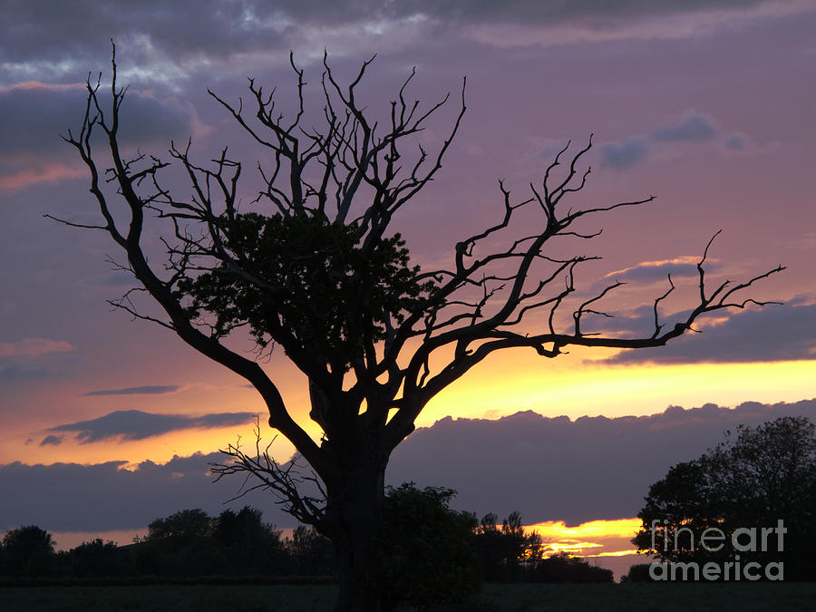 Suffolk Sunset Recalled Photograph by Ann Horn