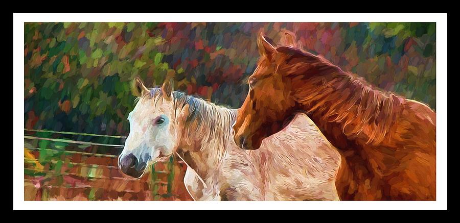 Horse Photograph - Sugar and Cinnamon by Shannon Story